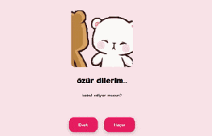 Özür Sitesi Önizleme